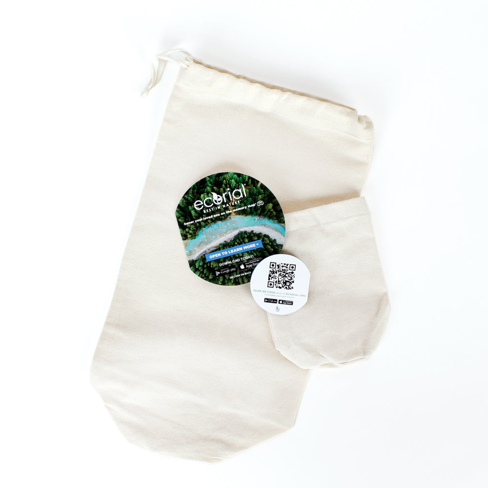 Beach Memories Scattering - Messenger