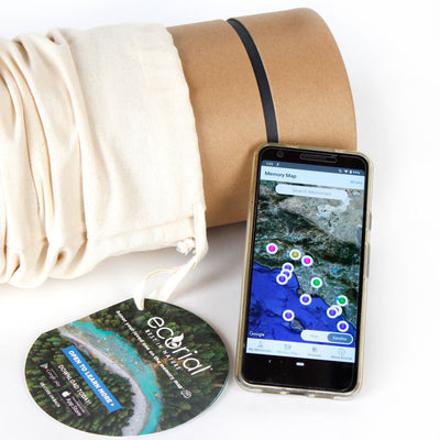 Beach Memories Scattering - A Better Place