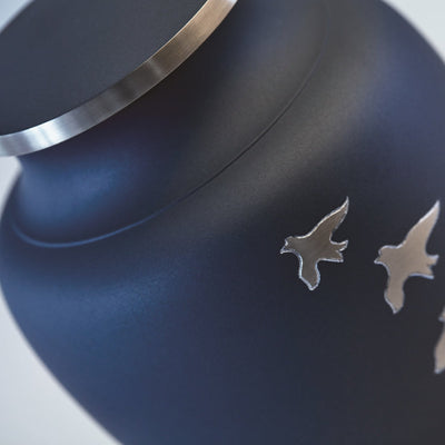 Ascending (Aria Series) - A Better Place